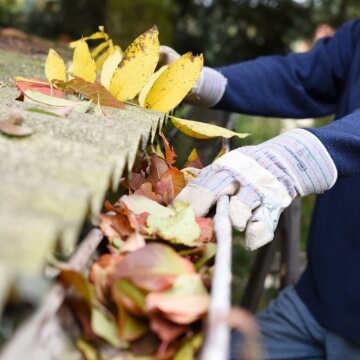 Person with work gloves removing leaves from gutter